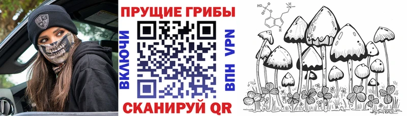 Галлюциногенные грибы прущие грибы  Суворов 